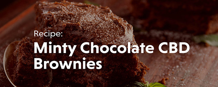 Minty Chocolate CBD Brownies